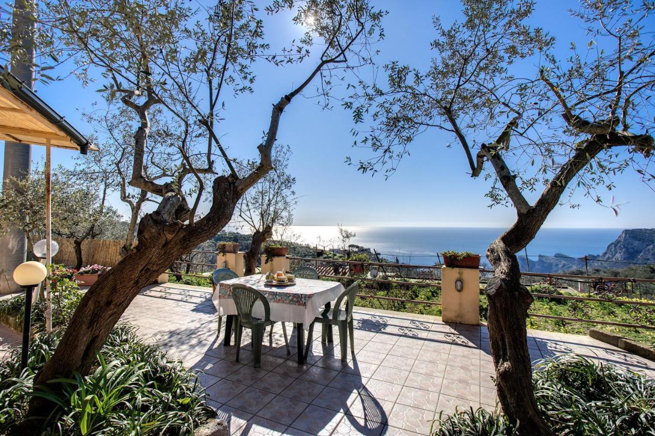Il Pioppo - Country House Sea View 마사루브렌세 외부 사진